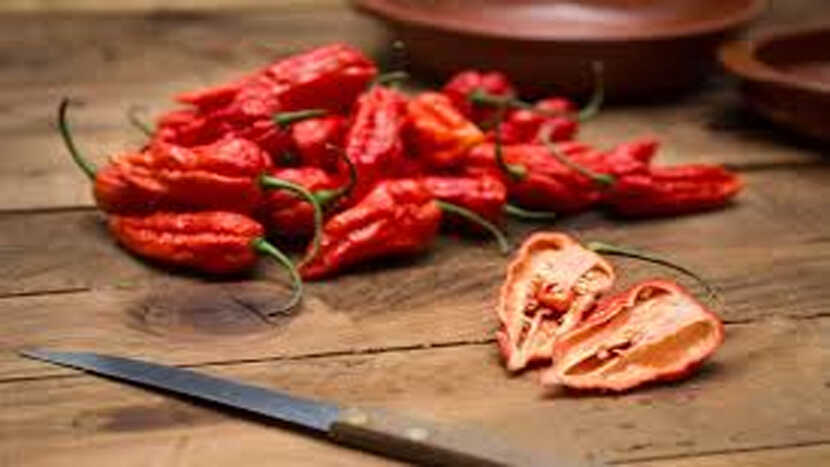 most spicy chilli
